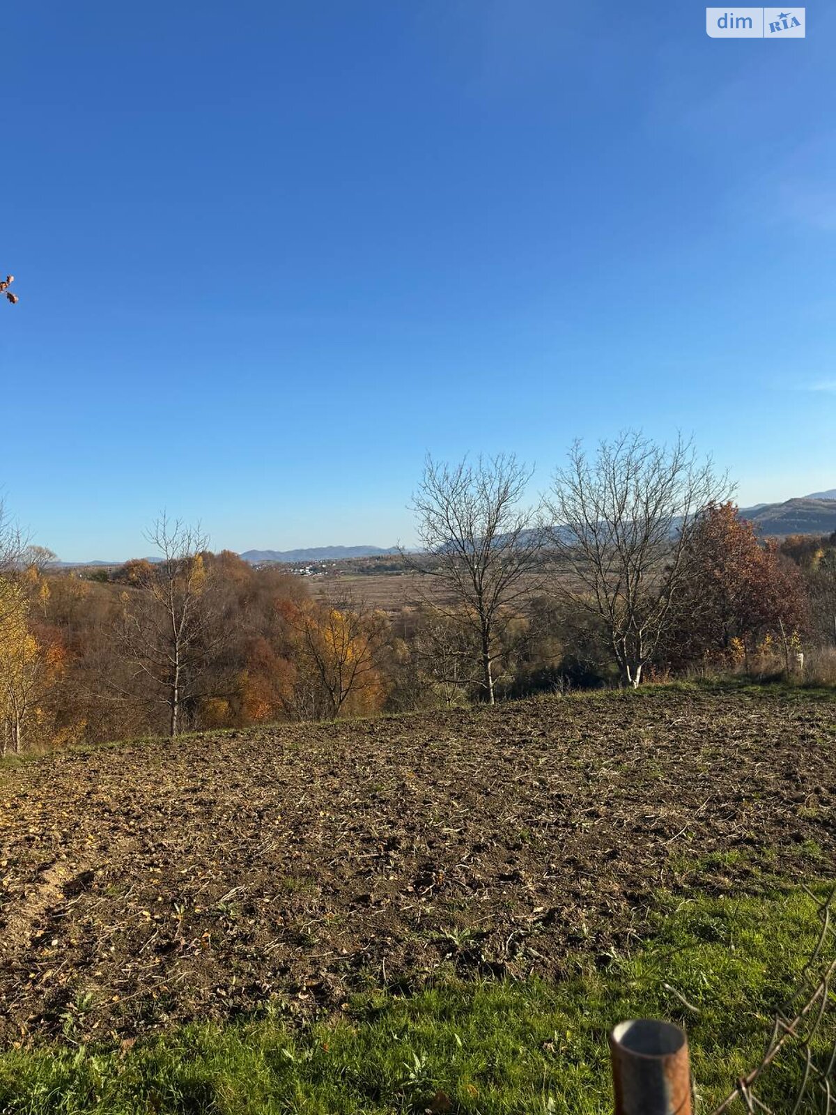 Земельна ділянка сільськогосподарського призначення в Грушево, площа 48 соток фото 1