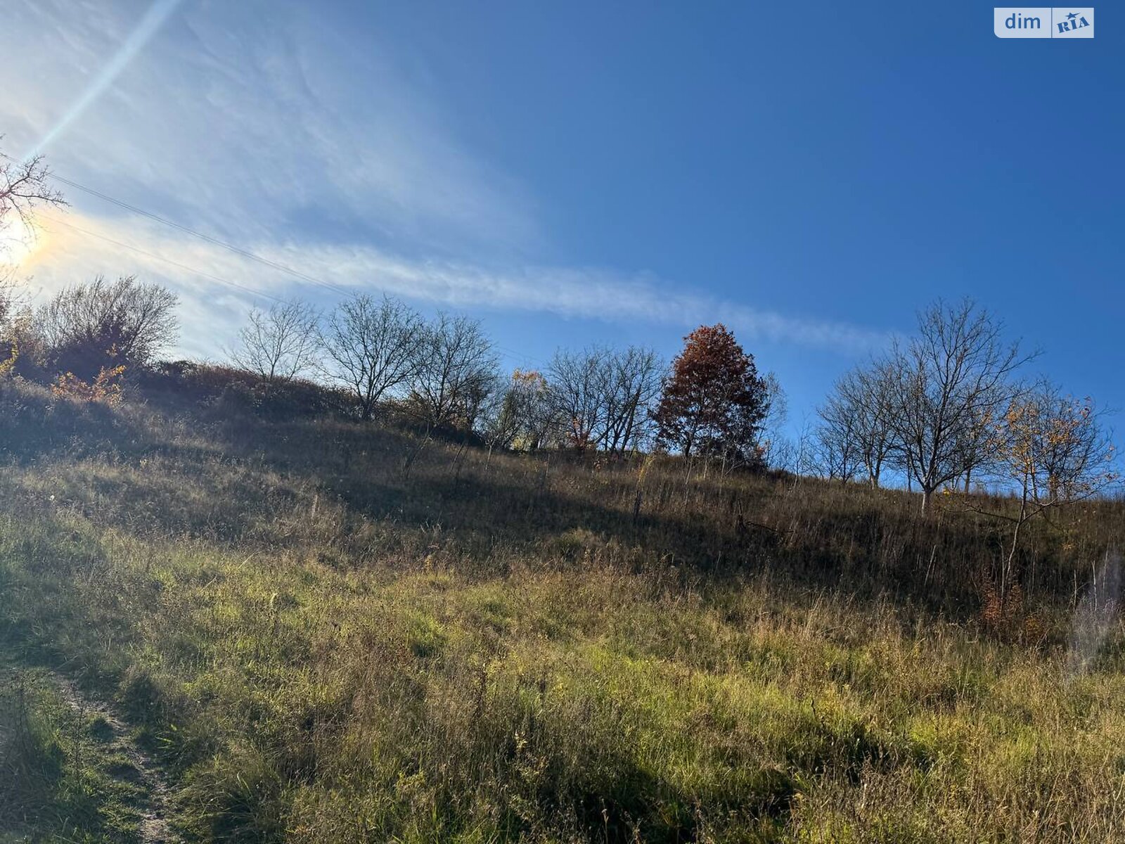 Земельна ділянка сільськогосподарського призначення в Грушево, площа 48 соток фото 1