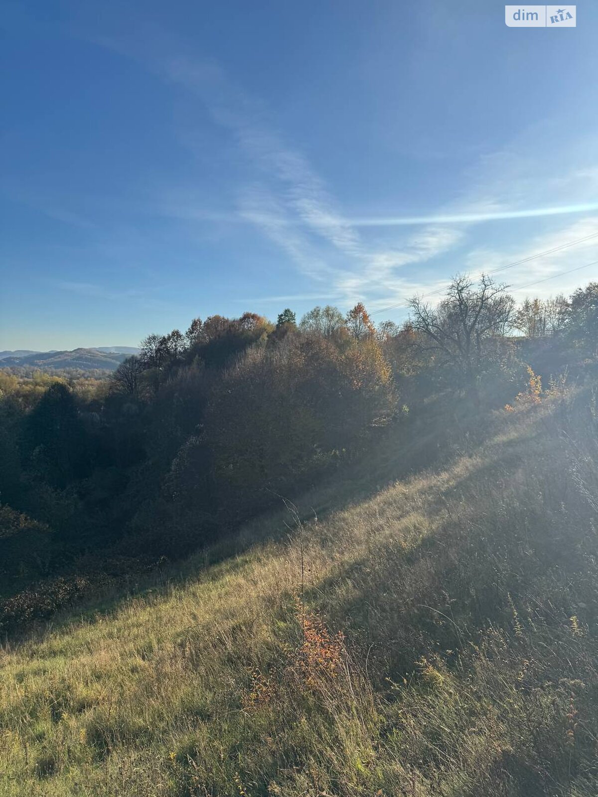 Земельна ділянка сільськогосподарського призначення в Грушево, площа 48 соток фото 1