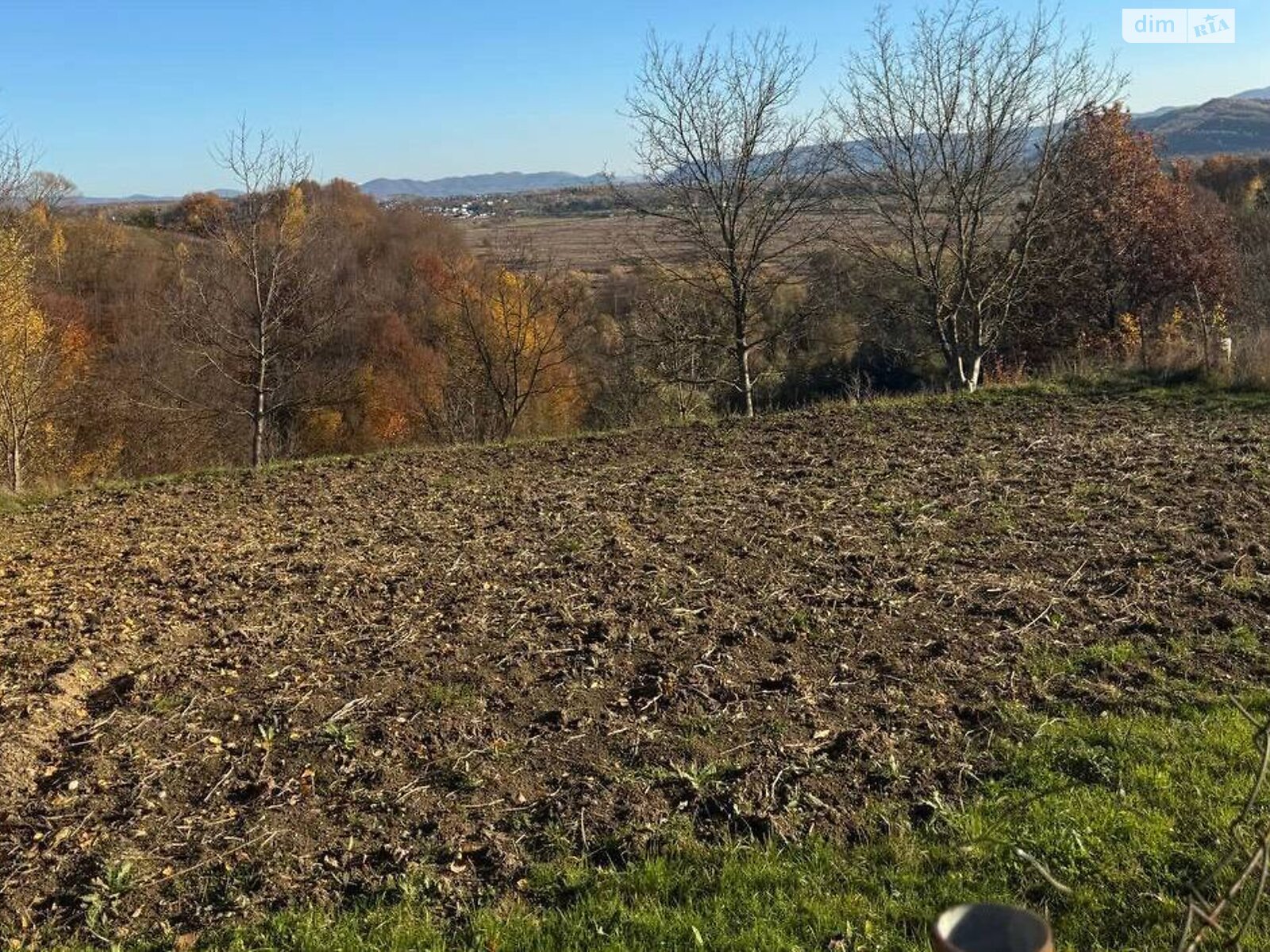 Земельна ділянка сільськогосподарського призначення в Грушево, площа 48 соток фото 1