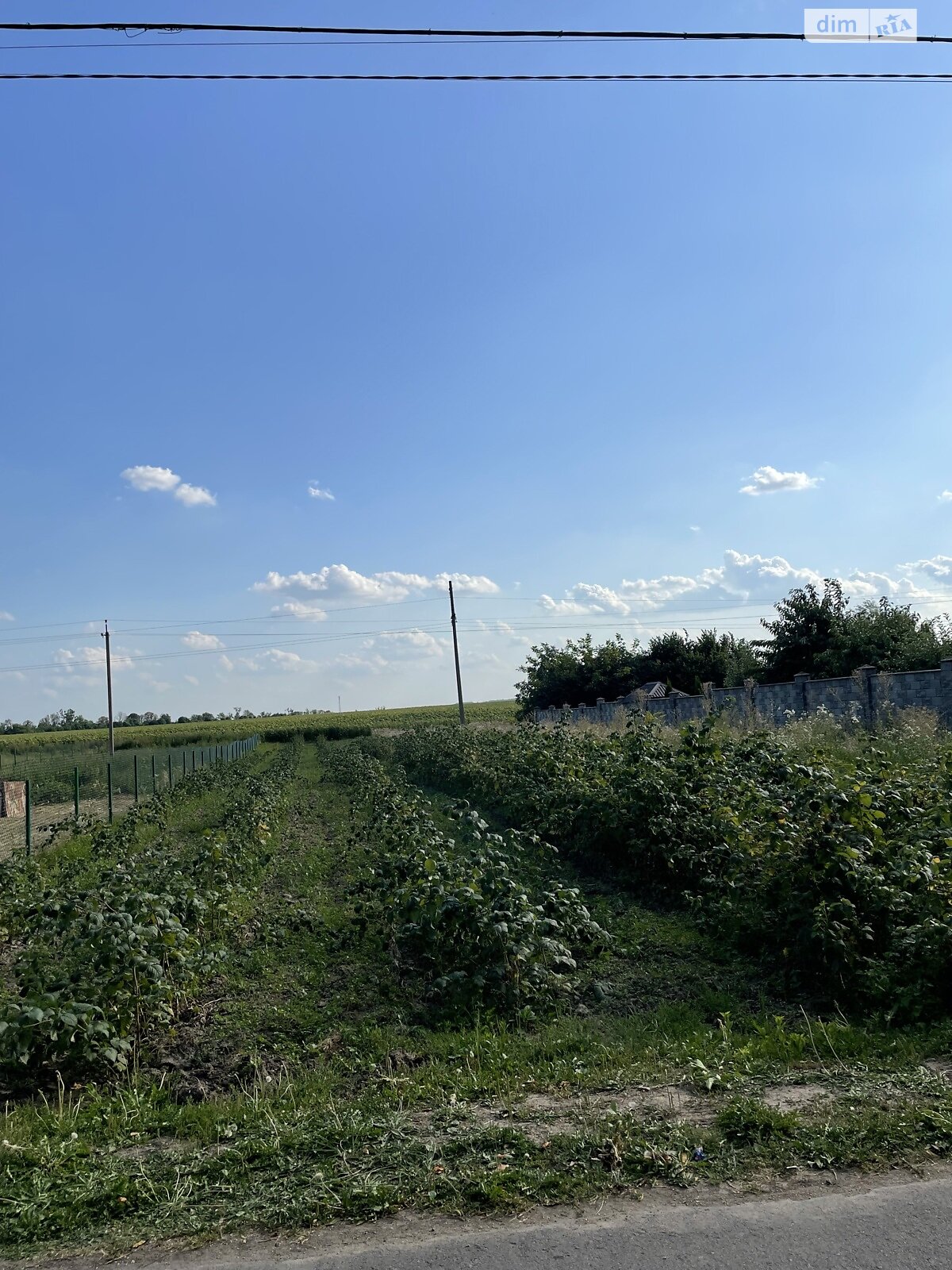 Земельный участок сельскохозяйственного назначения в Грушвице Второй, площадь 6 соток фото 1