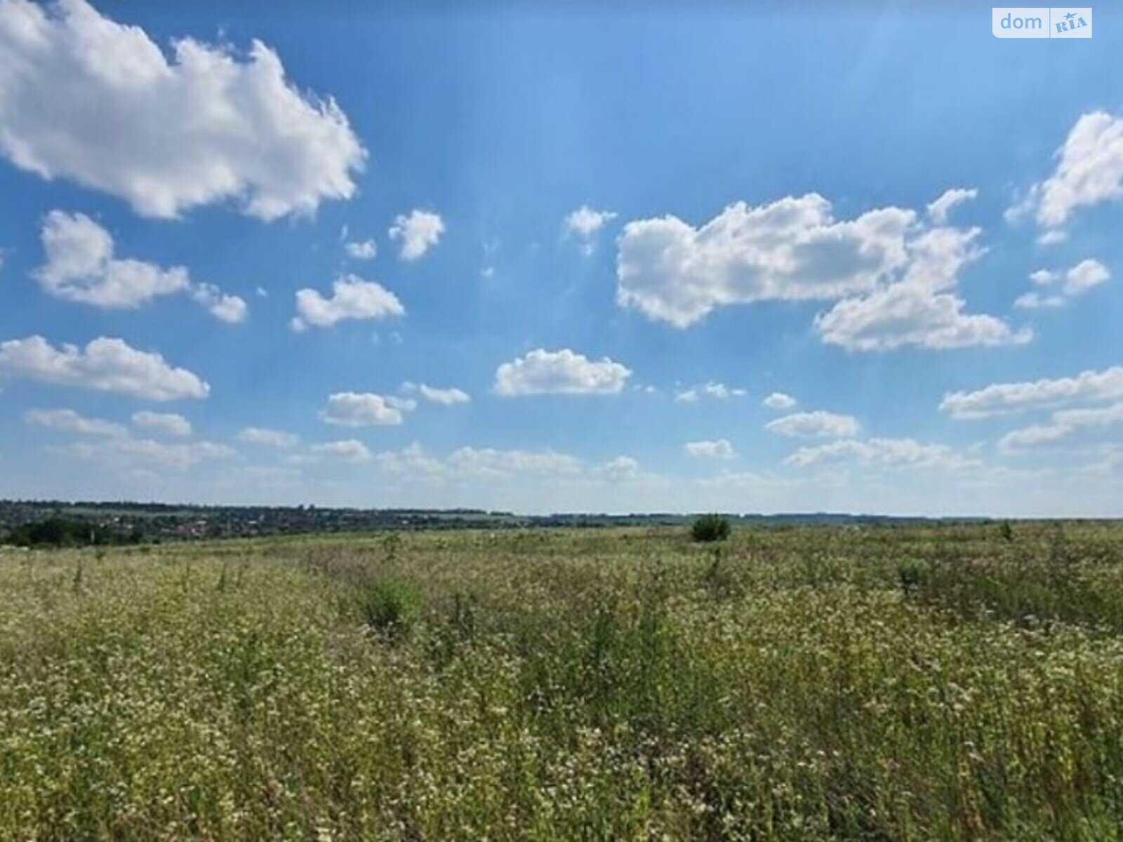 Земельна ділянка сільськогосподарського призначення в Грузевиці, площа 10 соток фото 1