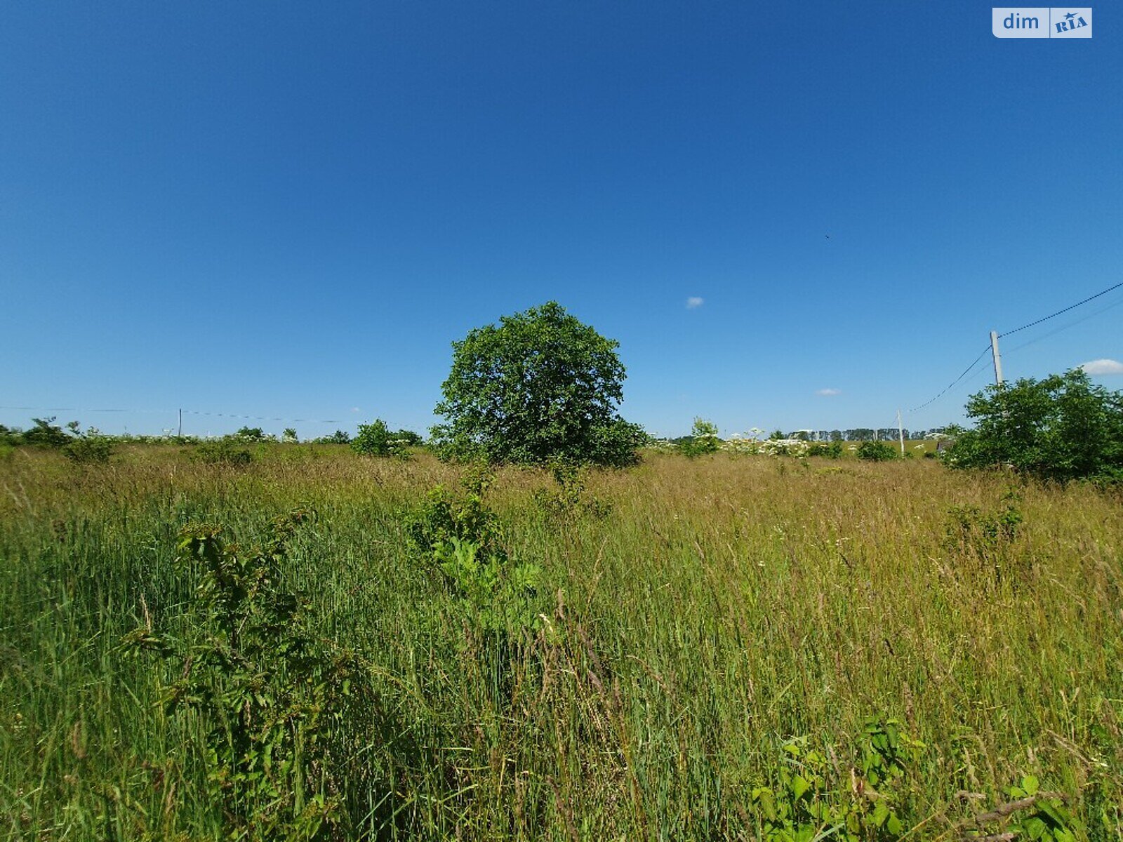 Земельный участок сельскохозяйственного назначения в Грузевице, площадь 10 соток фото 1