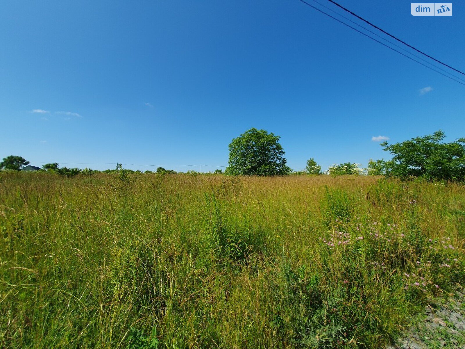 Земельный участок сельскохозяйственного назначения в Грузевице, площадь 10 соток фото 1