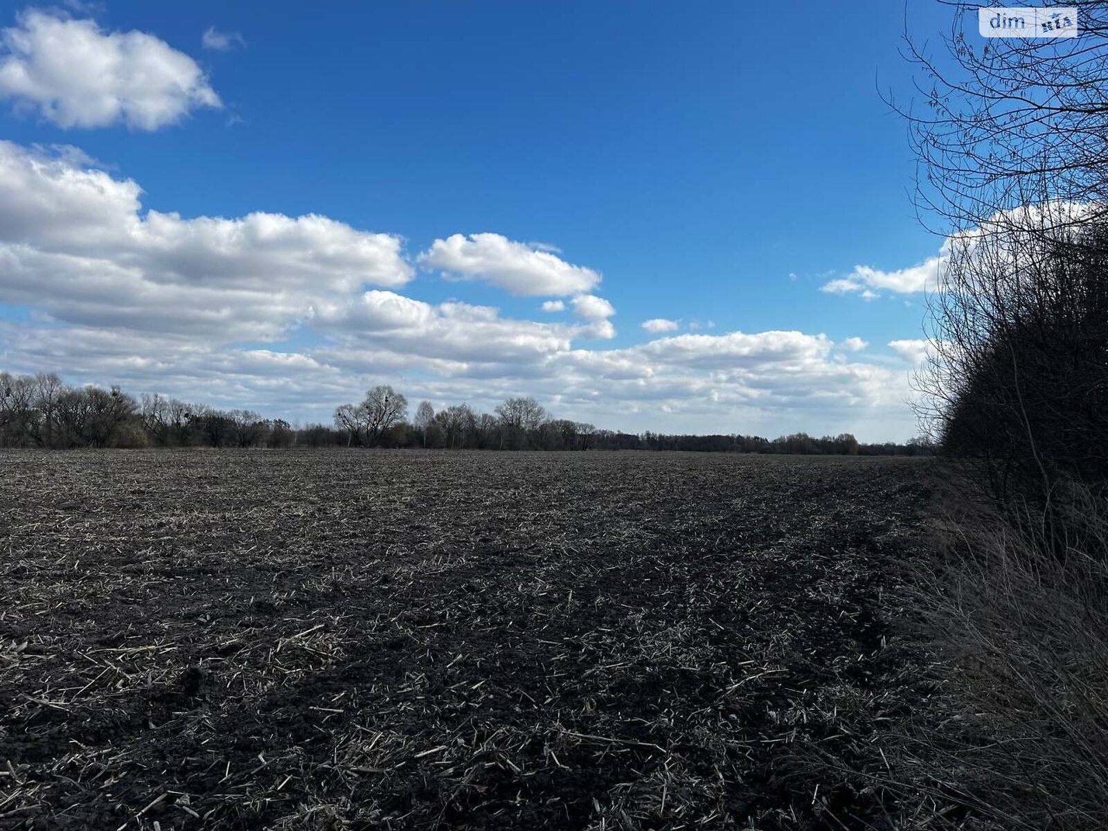 Земельна ділянка сільськогосподарського призначення в Грузькому, площа 4.8722 Га фото 1 Земельна ділянка сільськогосподарського призначення в Грузькому, площа 4.8722 Га фото 1