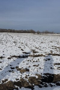 Земельный участок сельскохозяйственного назначения в Гуменном, площадь 30 соток фото 2