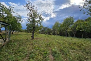 Земельный участок сельскохозяйственного назначения в Гуте, площадь 1.1377 Га фото 2
