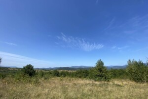 Земельна ділянка сільськогосподарського призначення в Гуті, площа 1.9996 Га фото 2 Земельна ділянка сільськогосподарського призначення в Гуті, площа 1.9996 Га фото 2