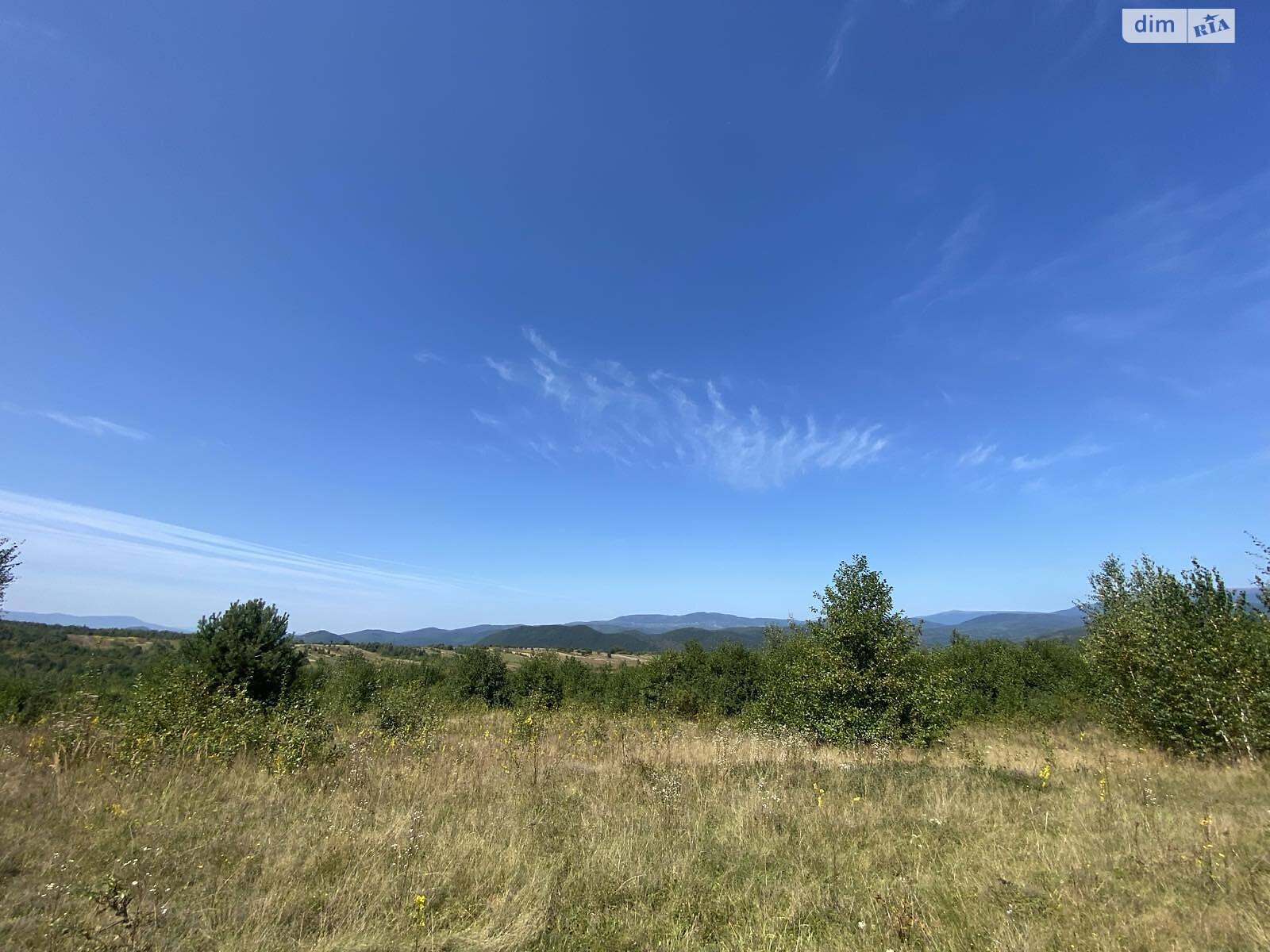 Земельна ділянка сільськогосподарського призначення в Гуті, площа 1.9996 Га фото 1 Земельна ділянка сільськогосподарського призначення в Гуті, площа 1.9996 Га фото 1