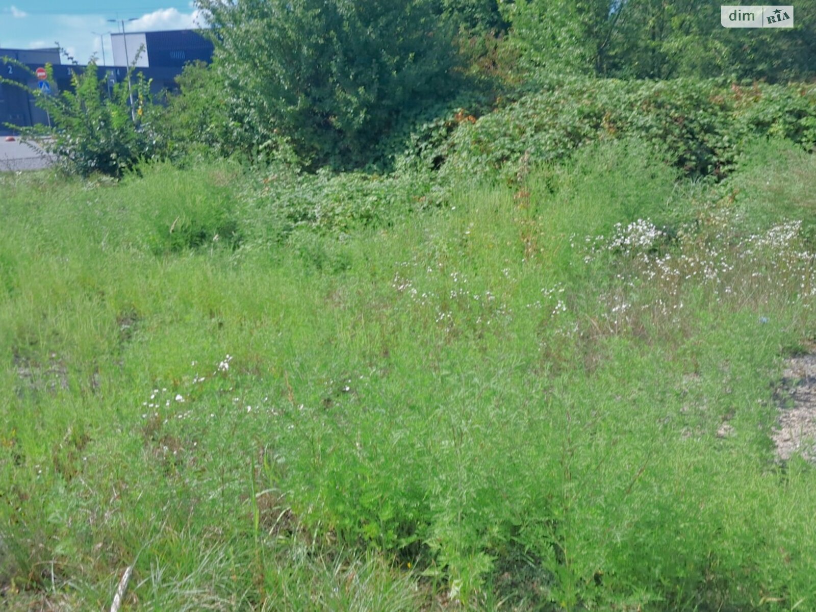 Земельна ділянка сільськогосподарського призначення в Гуті, площа 1.9996 Га фото 1 Земельна ділянка сільськогосподарського призначення в Гуті, площа 1.9996 Га фото 1