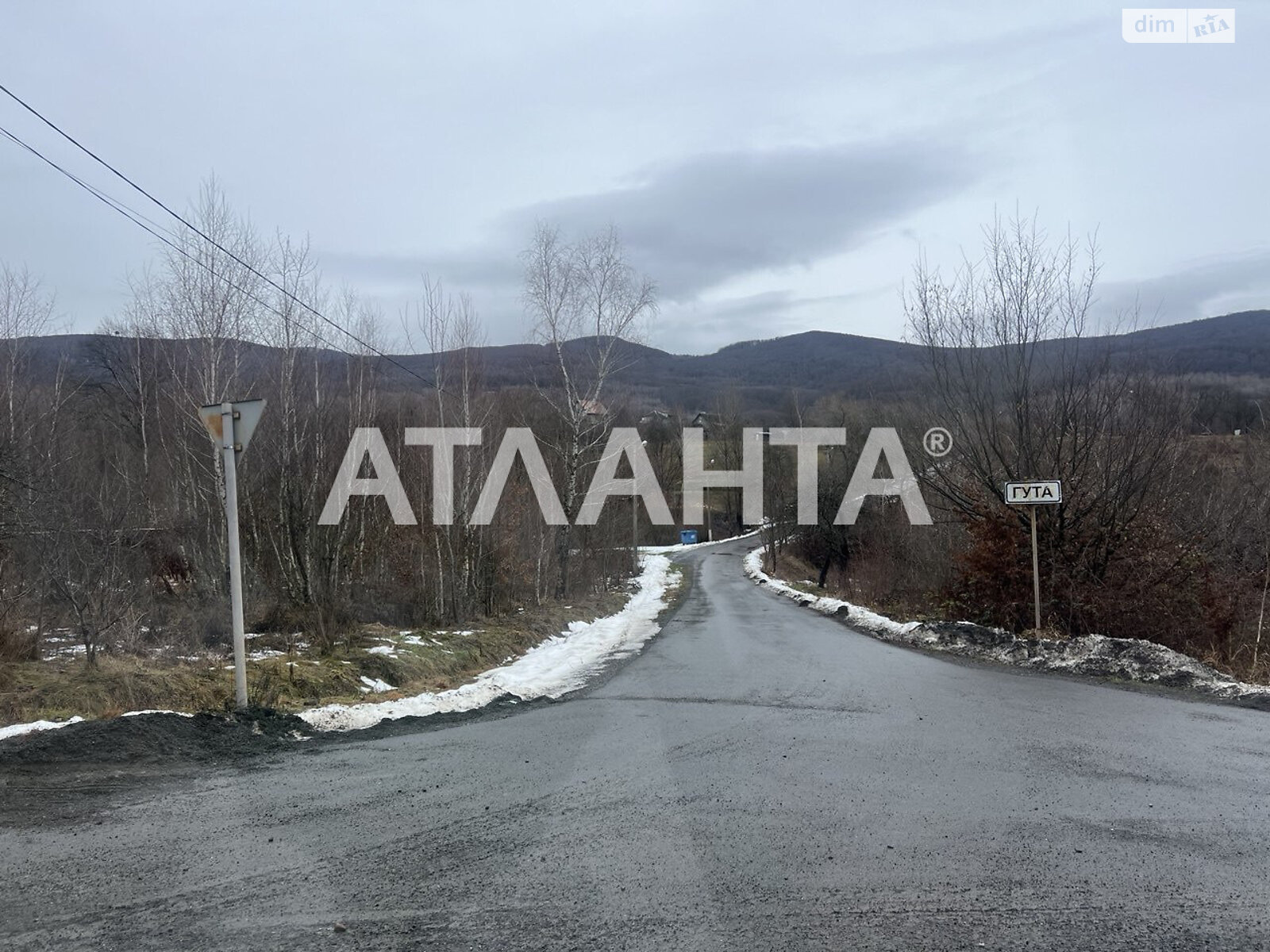 Земельный участок сельскохозяйственного назначения в Гуте, площадь 100 соток фото 1