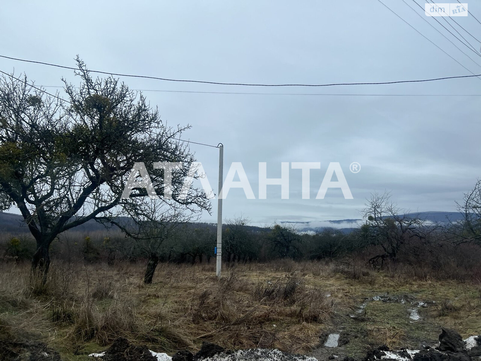 Земельный участок сельскохозяйственного назначения в Гуте, площадь 100 соток фото 1