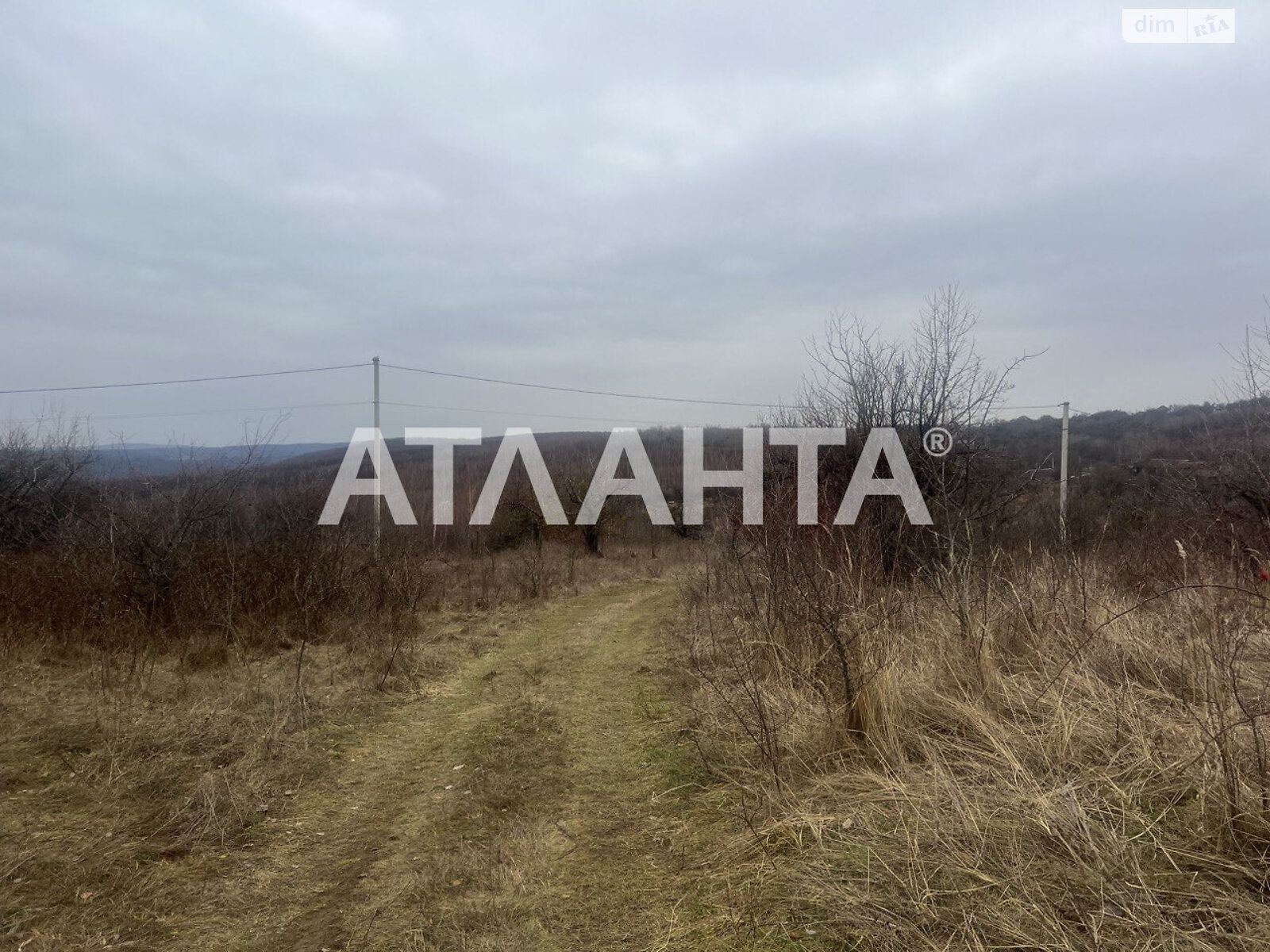 Земельный участок сельскохозяйственного назначения в Гуте, площадь 100 соток фото 1