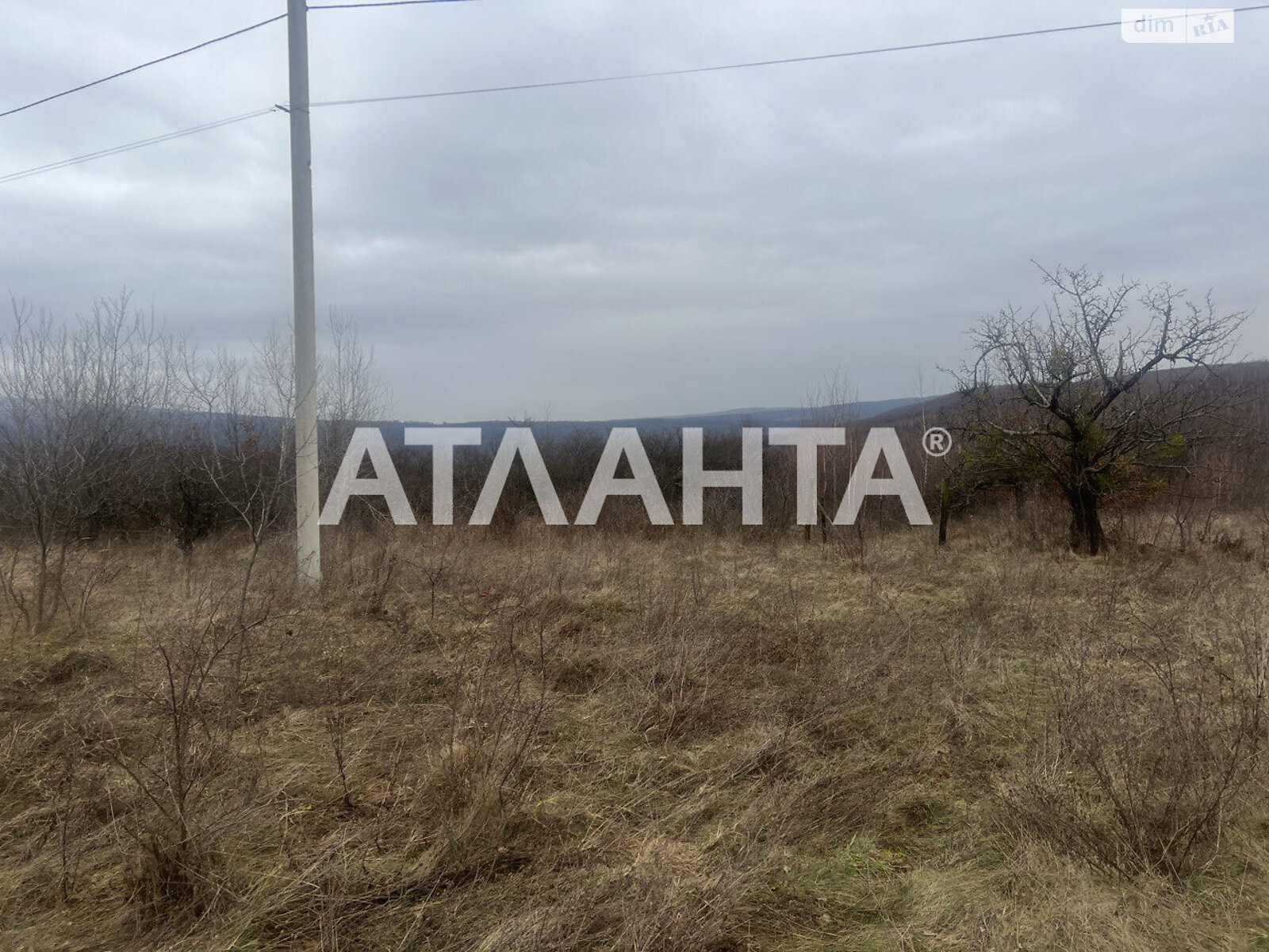 Земельный участок сельскохозяйственного назначения в Гуте, площадь 100 соток фото 1