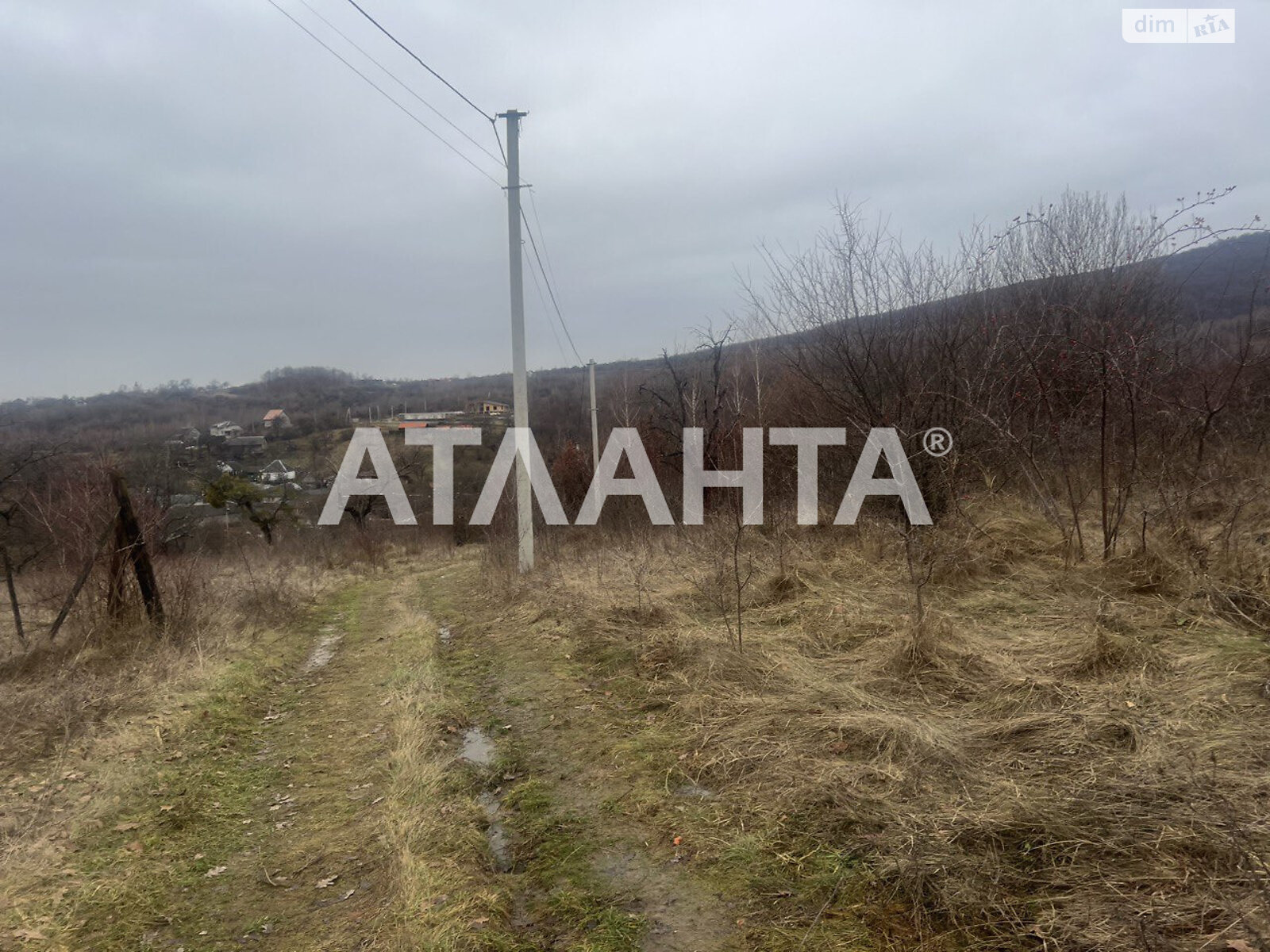 Земельный участок сельскохозяйственного назначения в Гуте, площадь 100 соток фото 1