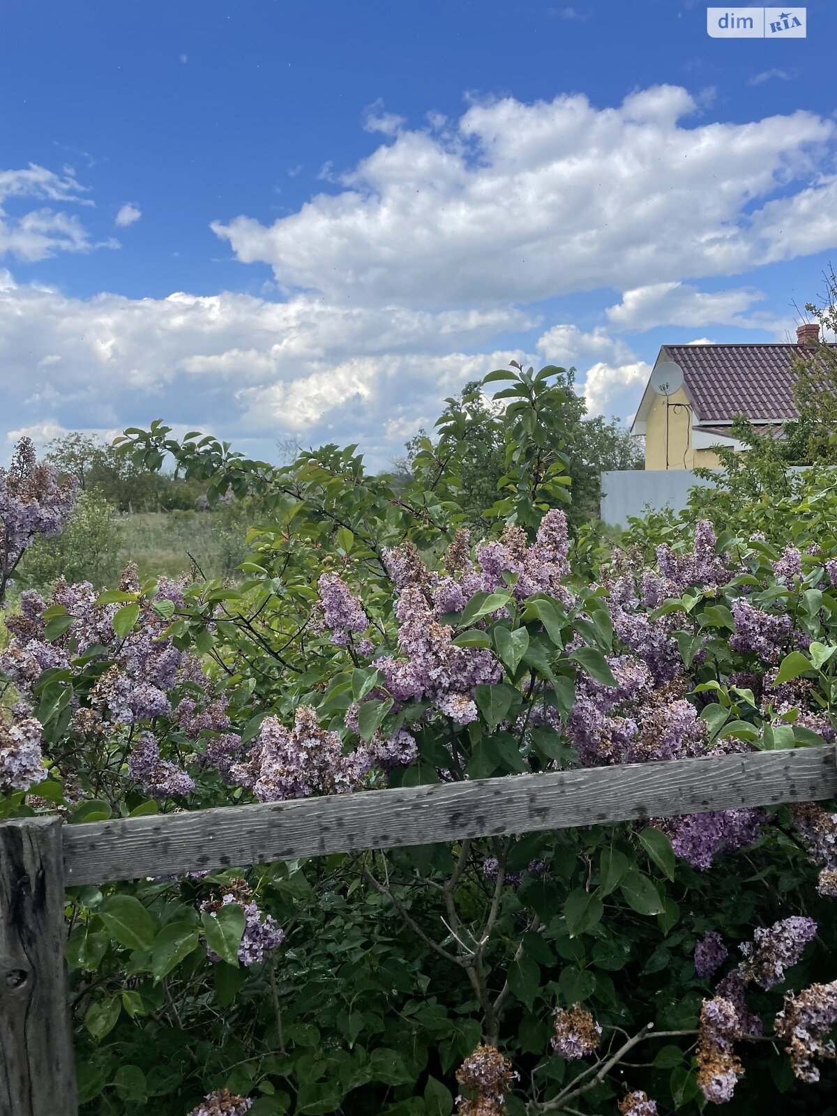 Земельный участок сельскохозяйственного назначения в Гвардейском, площадь 4.7 сотки фото 1 Земельный участок сельскохозяйственного назначения в Гвардейском, площадь 4.7 сотки фото 1