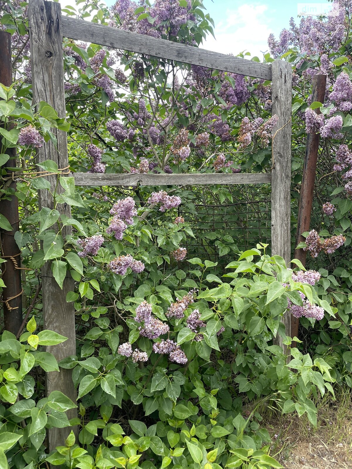 Земельный участок сельскохозяйственного назначения в Гвардейском, площадь 4.7 сотки фото 1 Земельный участок сельскохозяйственного назначения в Гвардейском, площадь 4.7 сотки фото 1