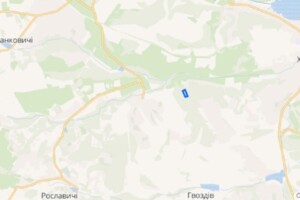 Земельный участок сельскохозяйственного назначения в Гвоздове, площадь 99 соток фото 2