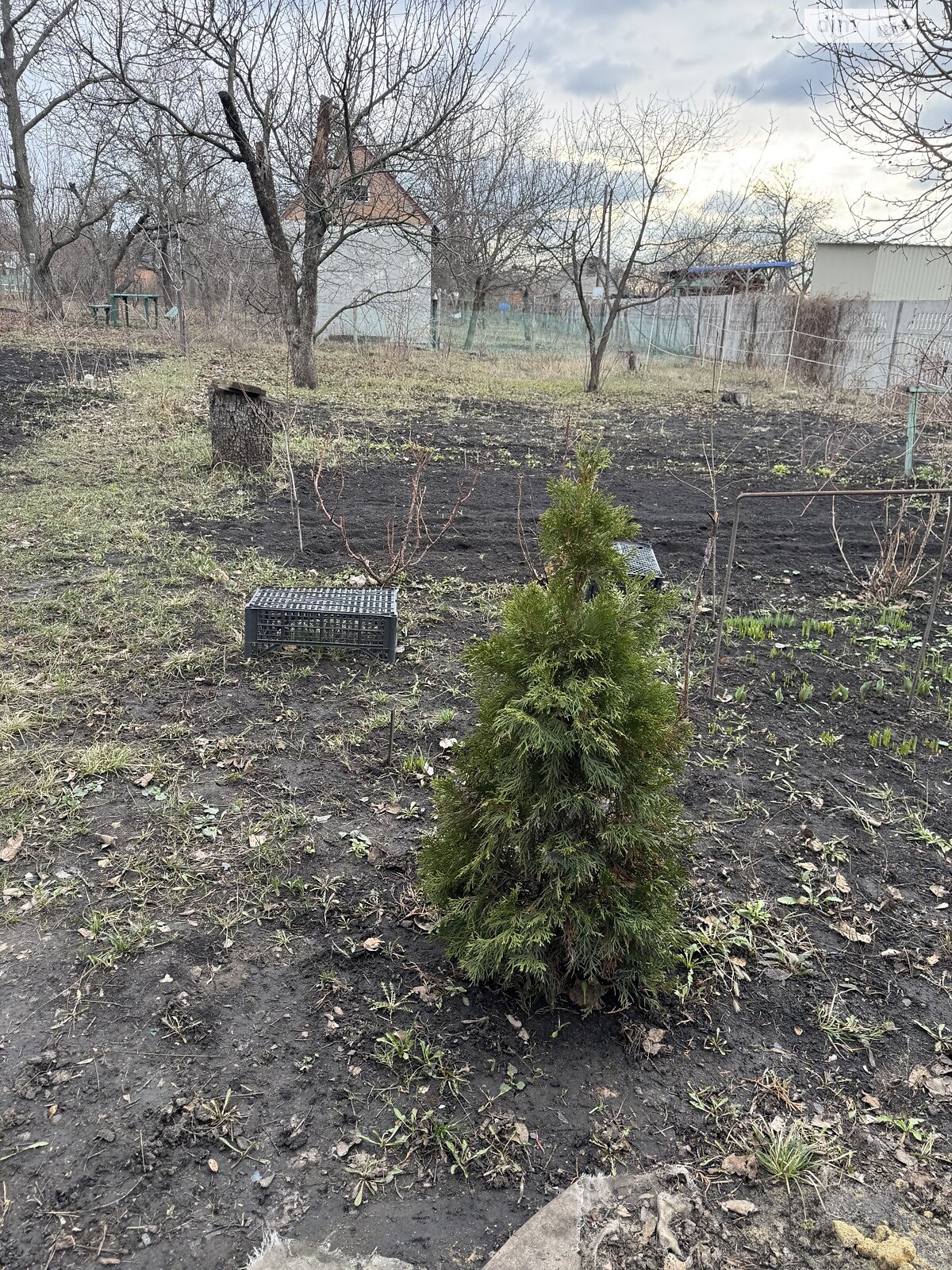 Земельный участок сельскохозяйственного назначения в Харькове, площадь 7.5 сотки фото 1 Земельный участок сельскохозяйственного назначения в Харькове, площадь 7.5 сотки фото 1