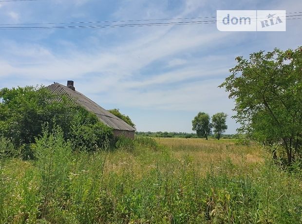 Земля сельскохозяйственного назначения в селе Русские Тишки, площадь 43 сотки фото 1 Земля сельскохозяйственного назначения в селе Русские Тишки, площадь 43 сотки фото 1