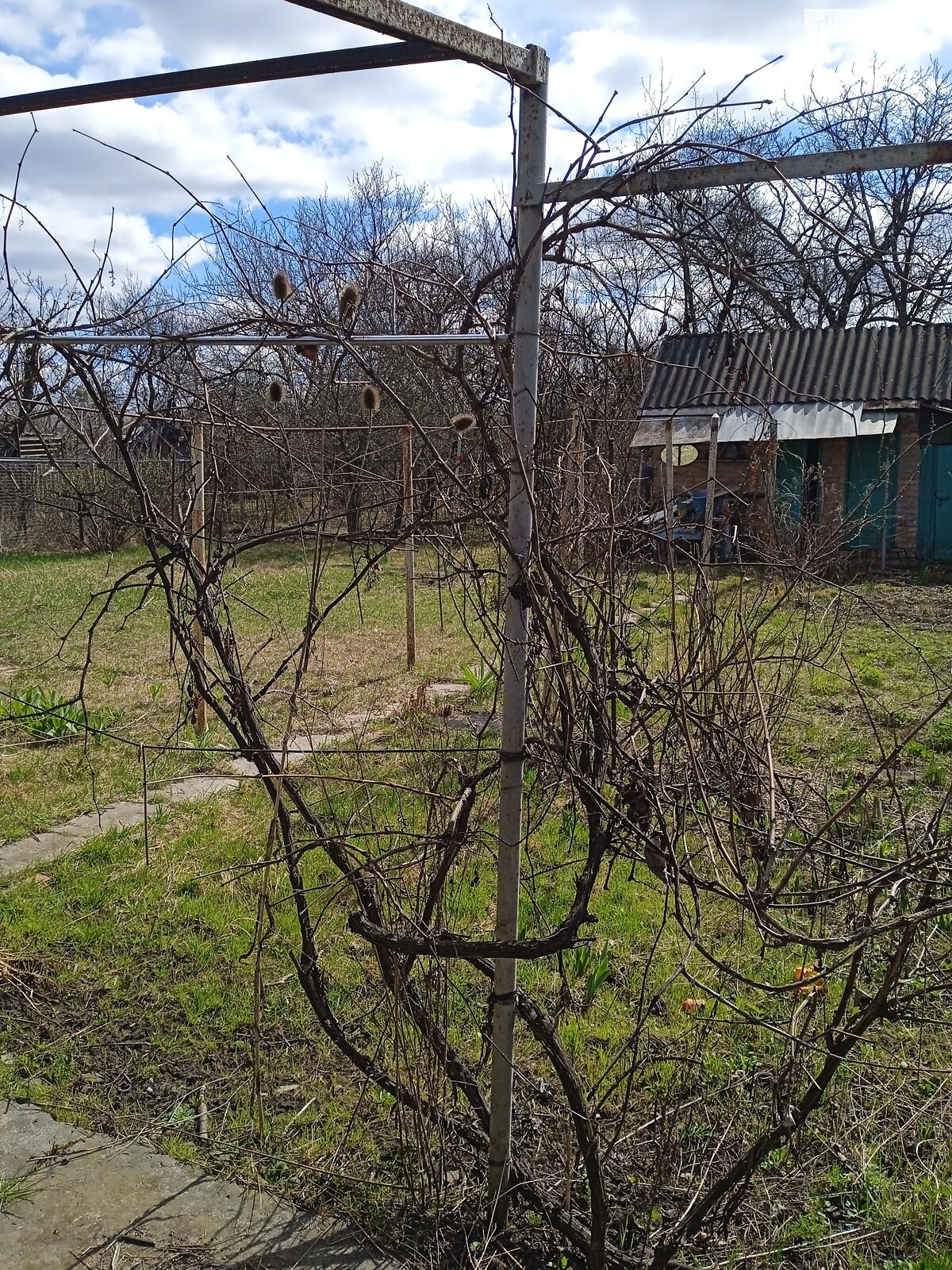 Земельный участок сельскохозяйственного назначения в Харькове, площадь 6 соток фото 1