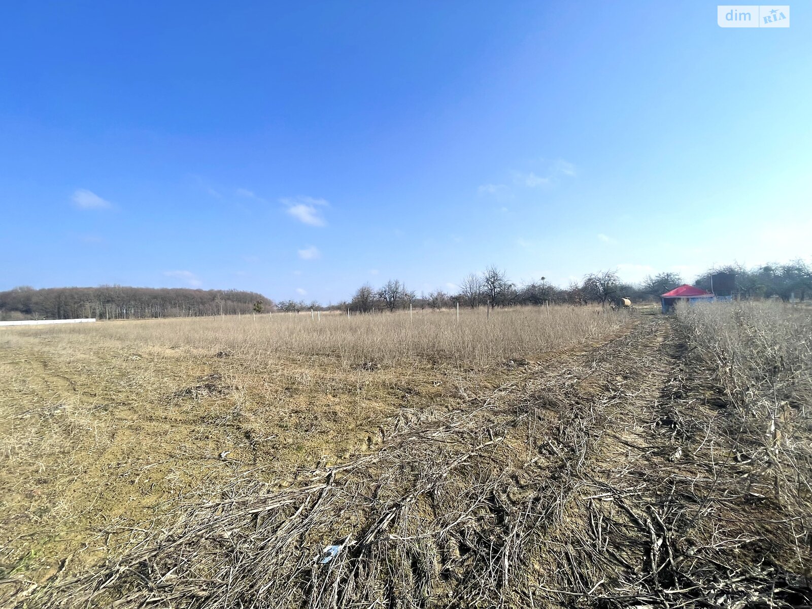 Земельна ділянка сільськогосподарського призначення в Хижинцях, площа 1.535 сотки фото 1