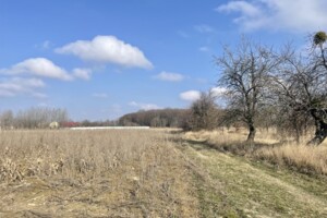Земельный участок сельскохозяйственного назначения в Хижинцах, площадь 1.535 сотки фото 2