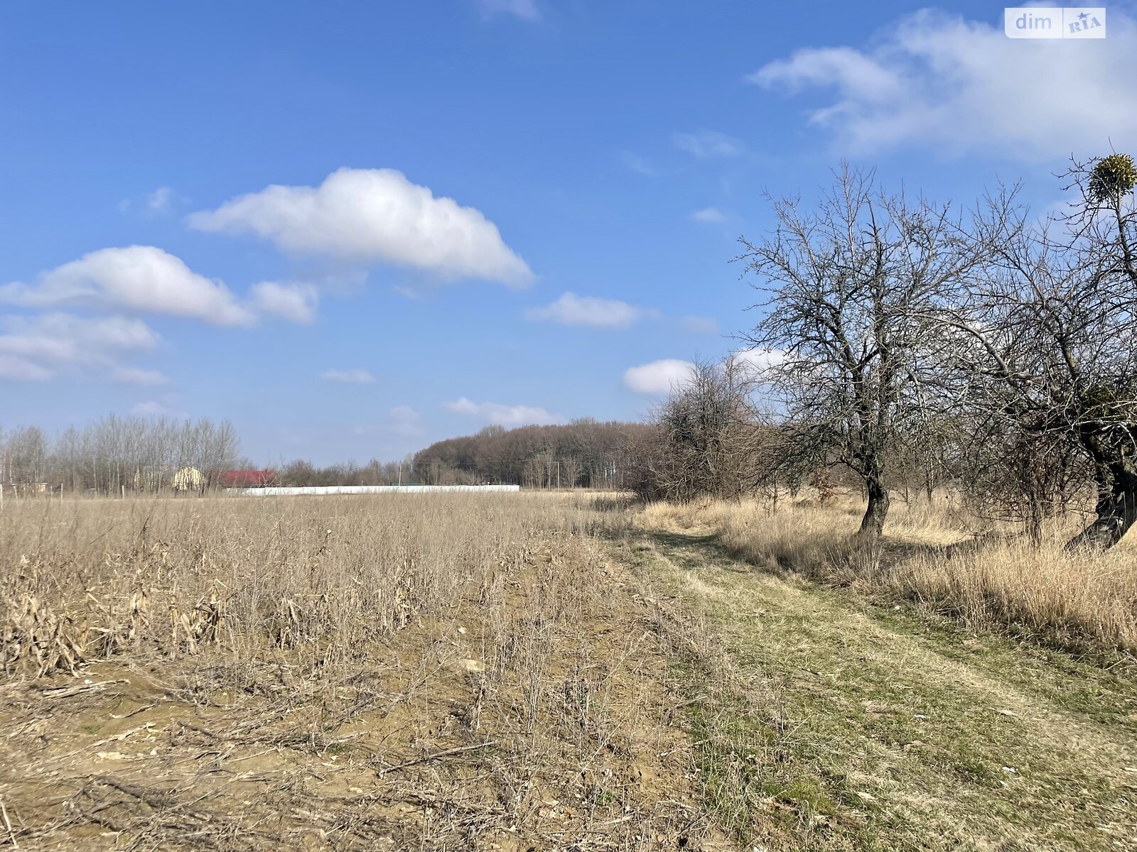 Земельна ділянка сільськогосподарського призначення в Хижинцях, площа 1.535 сотки фото 1