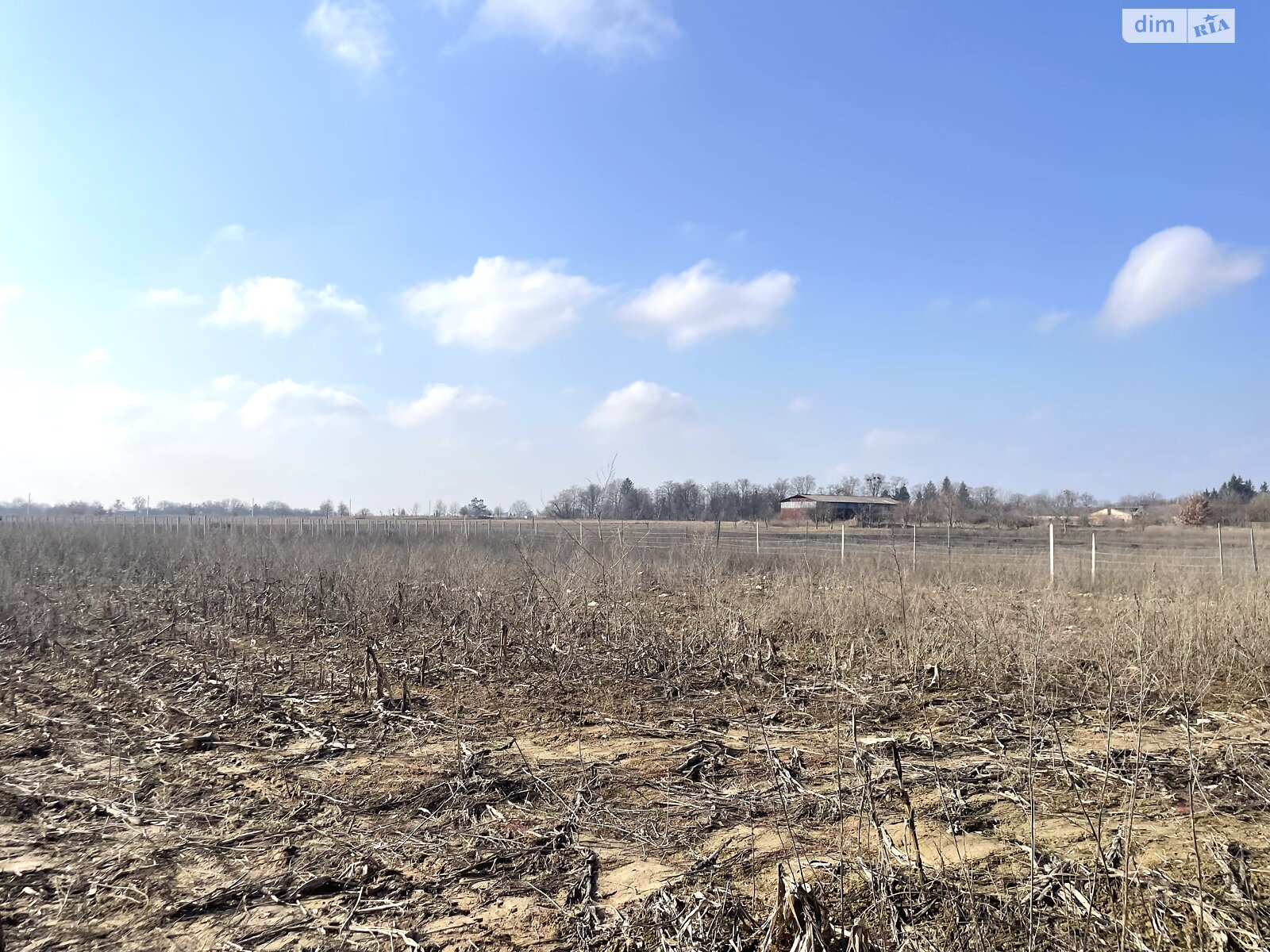 Земельна ділянка сільськогосподарського призначення в Хижинцях, площа 1.535 сотки фото 1