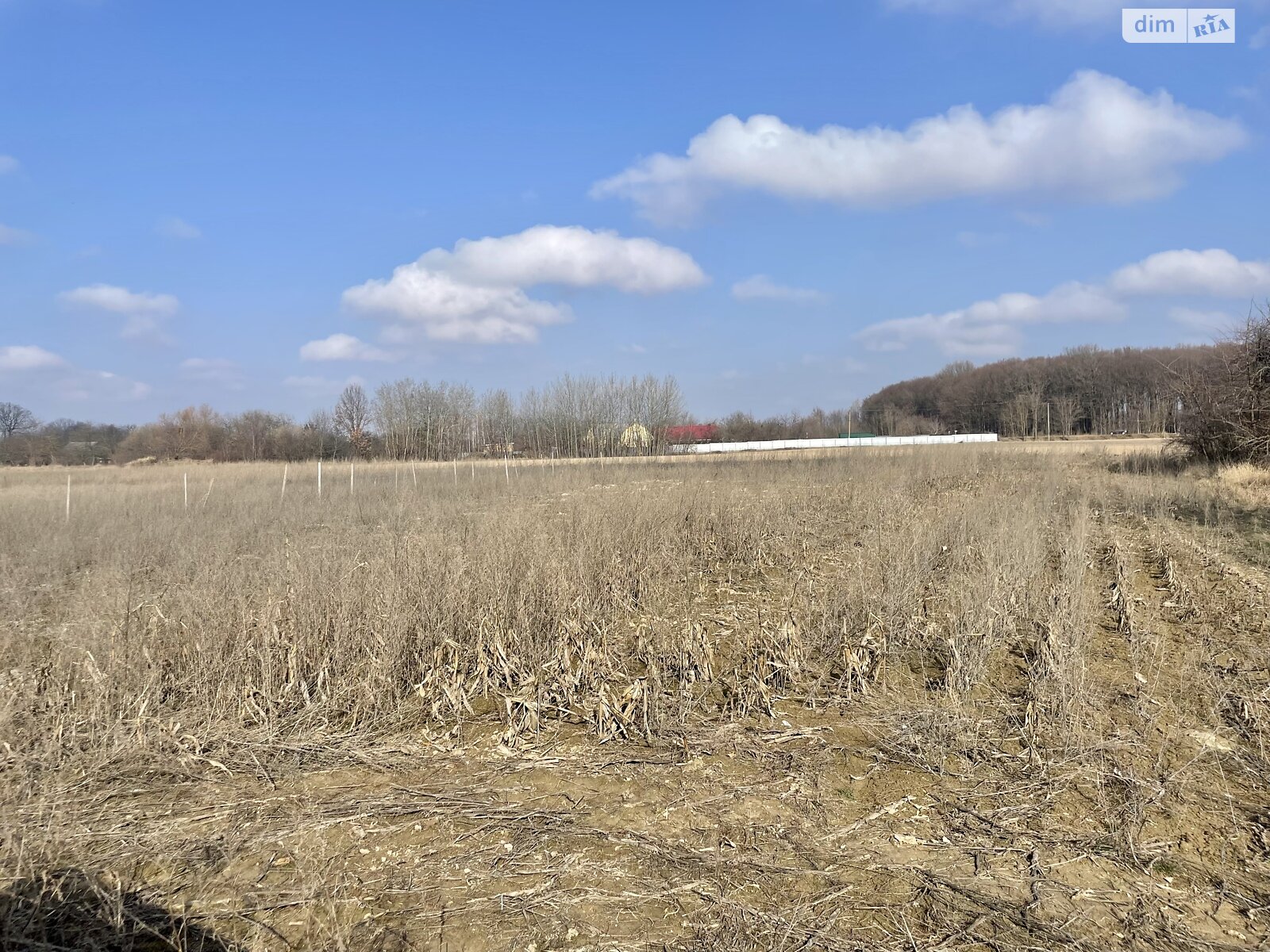 Земельна ділянка сільськогосподарського призначення в Хижинцях, площа 1.535 сотки фото 1