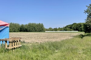 Земельна ділянка сільськогосподарського призначення в Хижинцях, площа 1.535 сотки фото 2