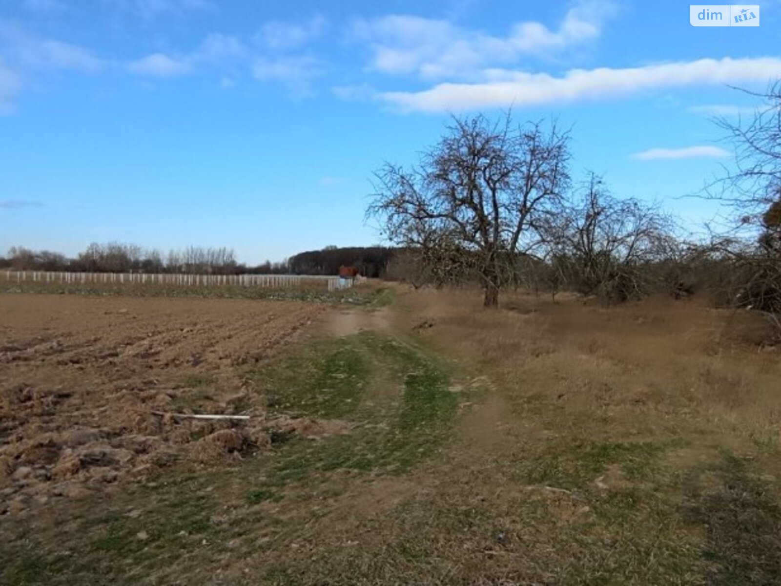 Земельна ділянка сільськогосподарського призначення в Хижинцях, площа 86.28 сотки фото 1