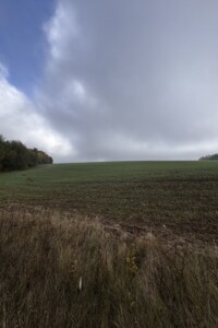 Земельный участок сельскохозяйственного назначения в Хижинцах, площадь 1.697 Га фото 2 Земельный участок сельскохозяйственного назначения в Хижинцах, площадь 1.697 Га фото 2