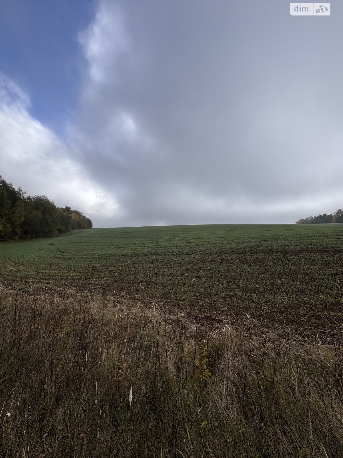 Земельный участок сельскохозяйственного назначения в Хижинцах, площадь 1.697 Га фото 1 Земельный участок сельскохозяйственного назначения в Хижинцах, площадь 1.697 Га фото 1
