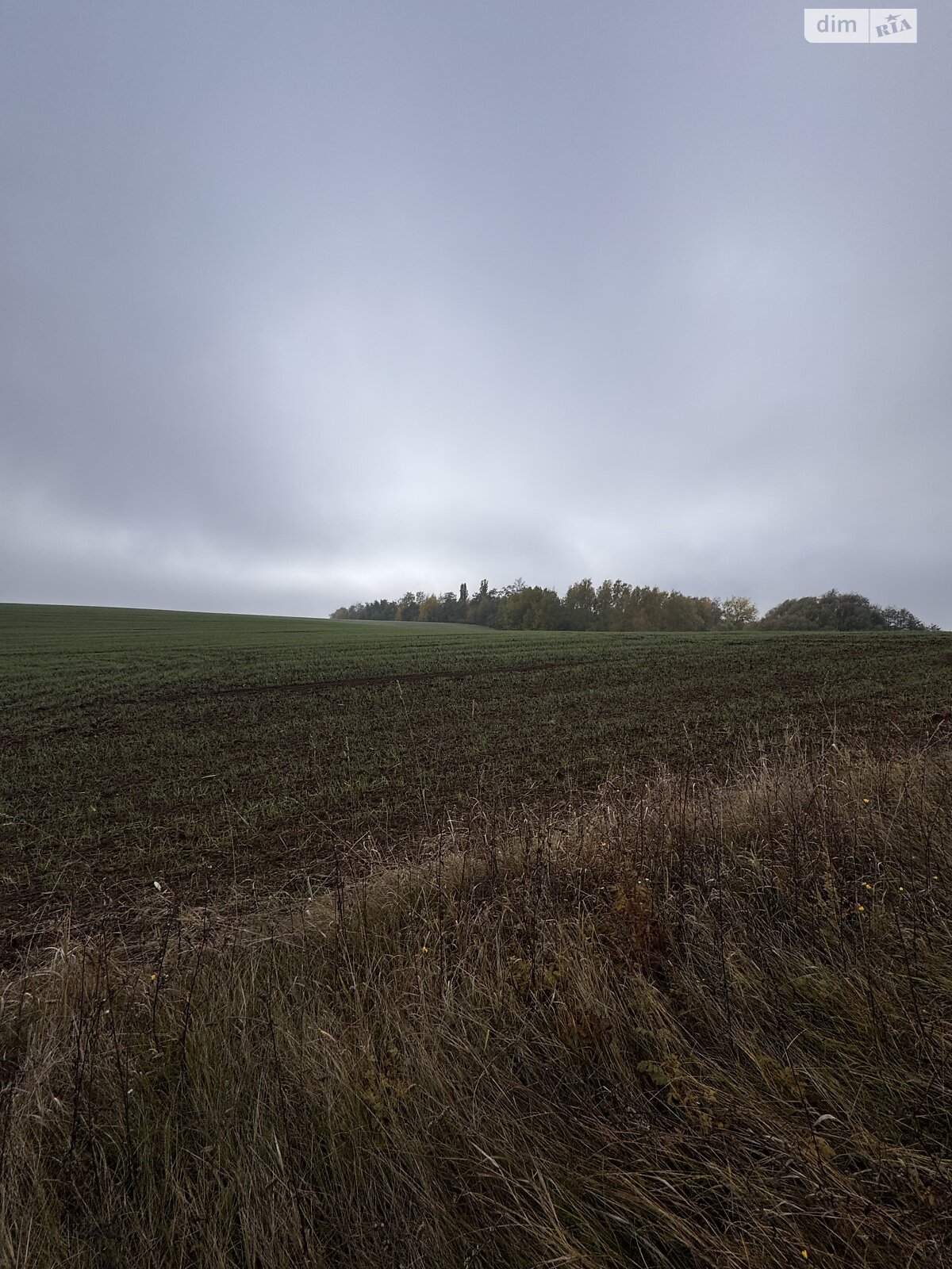 Земельный участок сельскохозяйственного назначения в Хижинцах, площадь 1.697 Га фото 1 Земельный участок сельскохозяйственного назначения в Хижинцах, площадь 1.697 Га фото 1