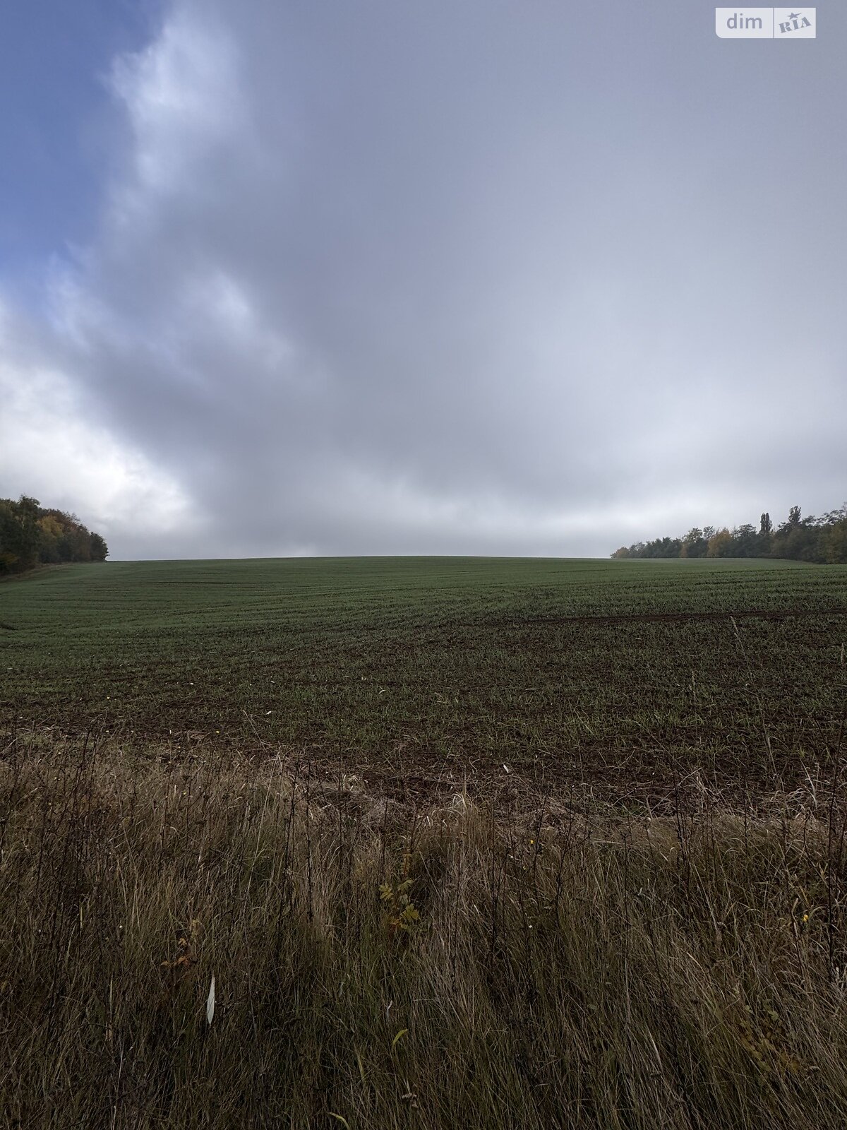 Земельный участок сельскохозяйственного назначения в Хижинцах, площадь 1.697 Га фото 1 Земельный участок сельскохозяйственного назначения в Хижинцах, площадь 1.697 Га фото 1