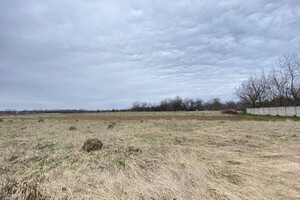 Земельна ділянка сільськогосподарського призначення в Хижинцях, площа 13 соток фото 2