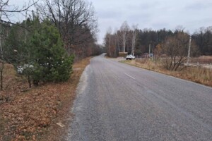 Земельный участок сельскохозяйственного назначения в Хмельной, площадь 200 соток фото 2