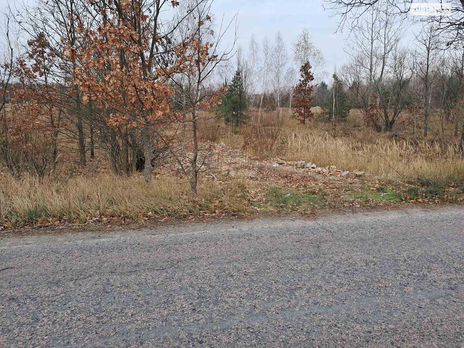 Земельна ділянка сільськогосподарського призначення в Хмільній, площа 1259.24 сотки фото 1 Земельна ділянка сільськогосподарського призначення в Хмільній, площа 1259.24 сотки фото 1