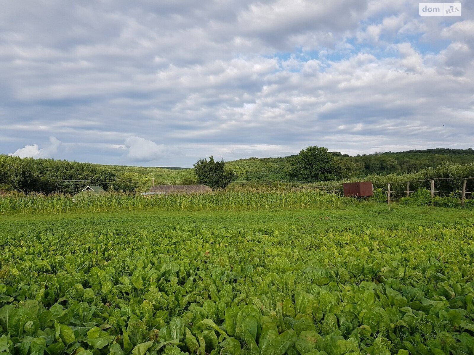 Земельна ділянка сільськогосподарського призначення в Берегелі, площа 2.3 Га фото 1