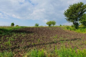 Земля сільськогосподарського призначення в Хмельницькому, район Дубове, площа 8 соток фото 2