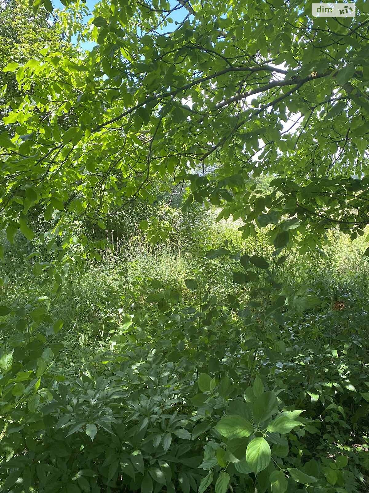 Земля сельскохозяйственного назначения в Хмельницком, район Дубово, площадь 12 соток фото 1 Земля сельскохозяйственного назначения в Хмельницком, район Дубово, площадь 12 соток фото 1