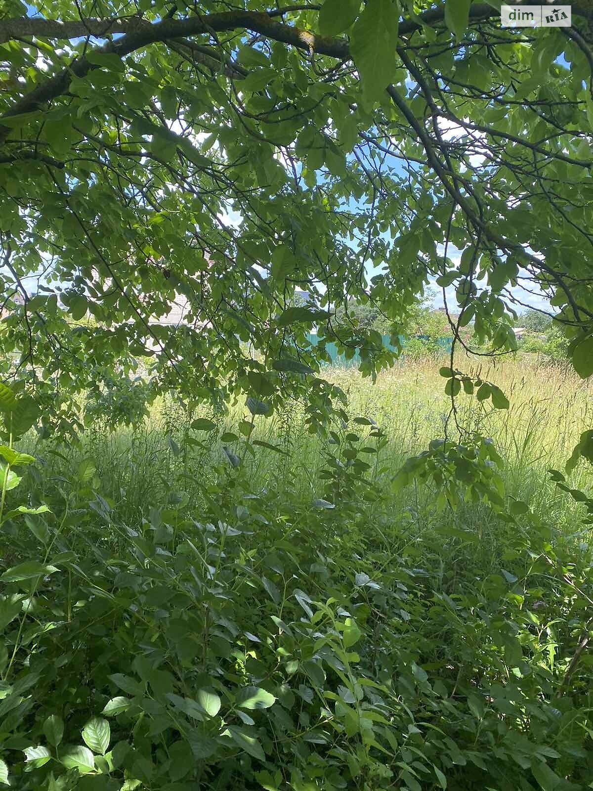 Земля сільськогосподарського призначення в Хмельницькому, район Дубове, площа 12 соток фото 1 Земля сільськогосподарського призначення в Хмельницькому, район Дубове, площа 12 соток фото 1