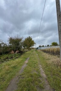 Земля сільськогосподарського призначення в Хмельницькому, район Дубове, площа 8 соток фото 2 Земля сільськогосподарського призначення в Хмельницькому, район Дубове, площа 8 соток фото 2