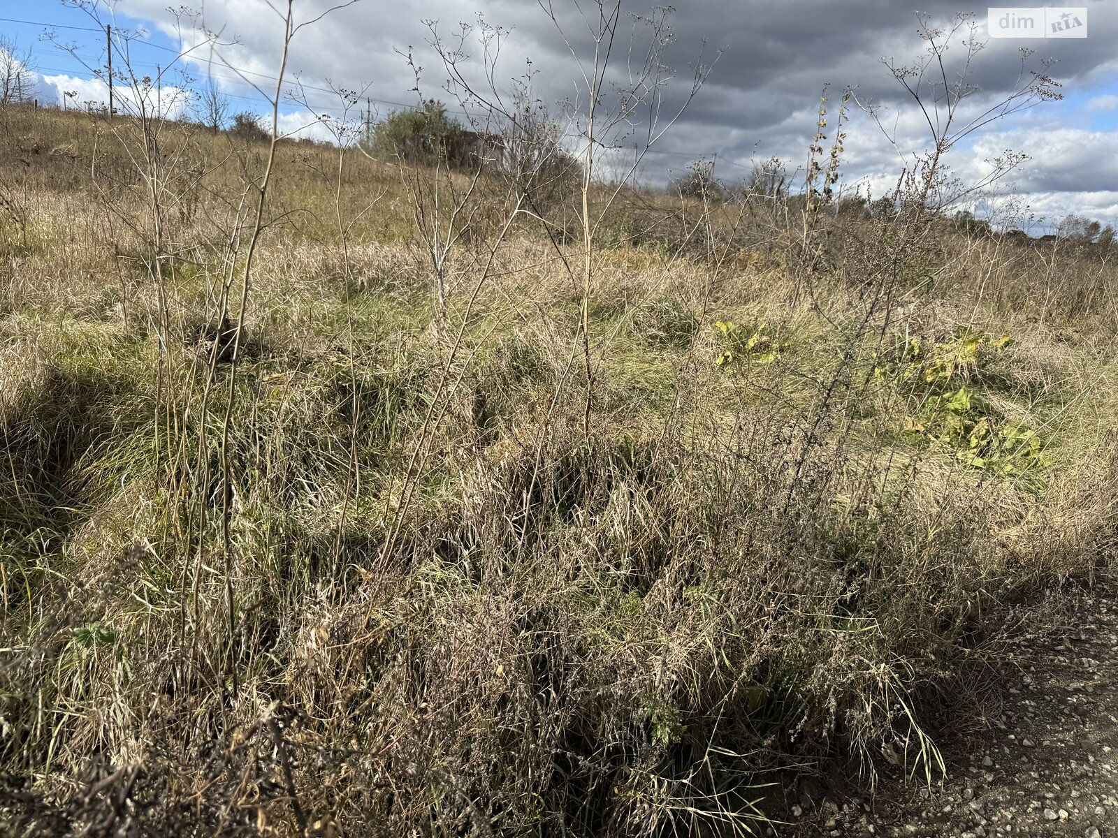 Земля сільськогосподарського призначення в Хмельницькому, район Дубове, площа 8 соток фото 1 Земля сільськогосподарського призначення в Хмельницькому, район Дубове, площа 8 соток фото 1