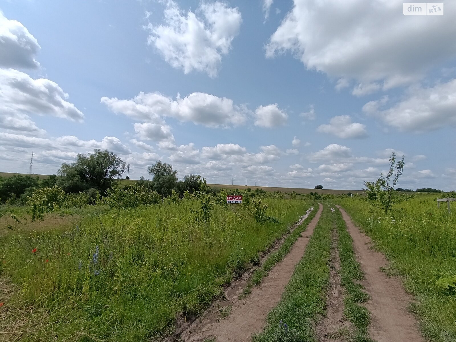 Земля сільськогосподарського призначення в Хмельницькому, район Обрій, площа 10 соток фото 1 Земля сільськогосподарського призначення в Хмельницькому, район Обрій, площа 10 соток фото 1