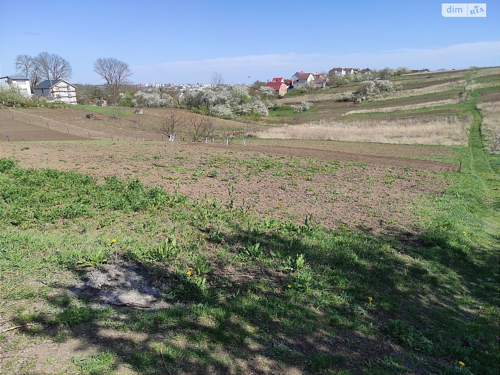 Земля сельскохозяйственного назначения в Хмельницком, район Гречаны дальние, площадь 8.5 сотки фото 1