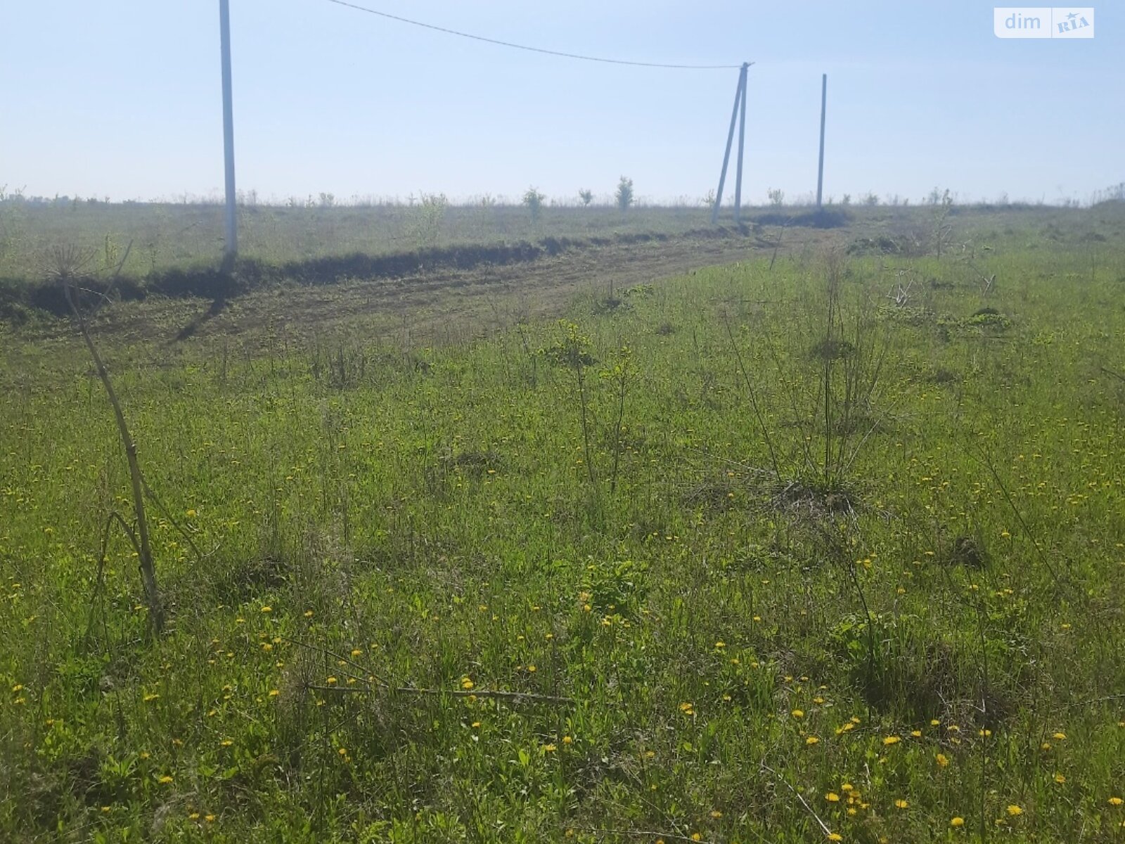 Земля сельскохозяйственного назначения в Хмельницком, район Гречаны дальние, площадь 11.6 сотки фото 1 Земля сельскохозяйственного назначения в Хмельницком, район Гречаны дальние, площадь 11.6 сотки фото 1