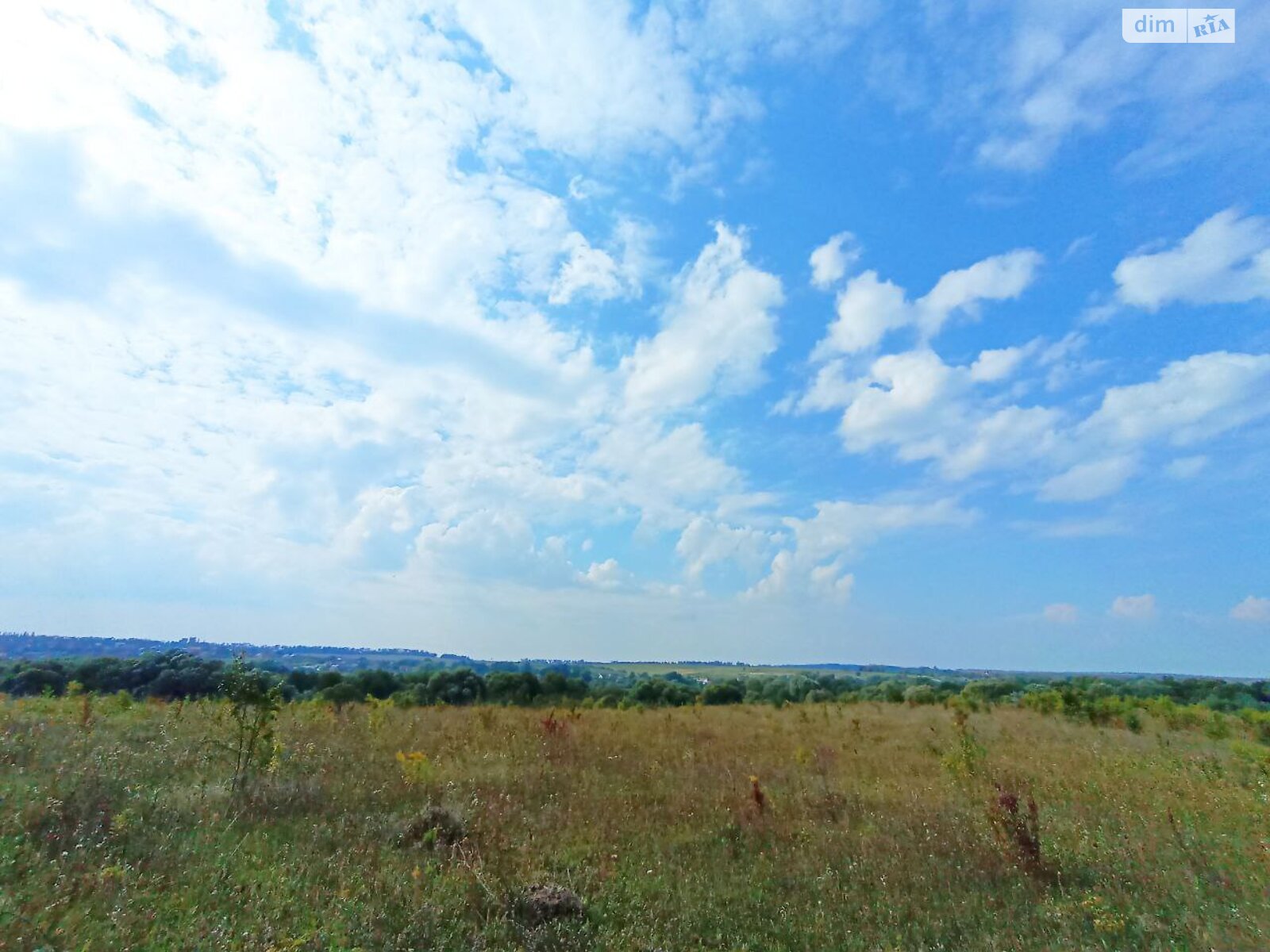 Земля сельскохозяйственного назначения в Хмельницком, район Гречаны дальние, площадь 12 соток фото 1 Земля сельскохозяйственного назначения в Хмельницком, район Гречаны дальние, площадь 12 соток фото 1