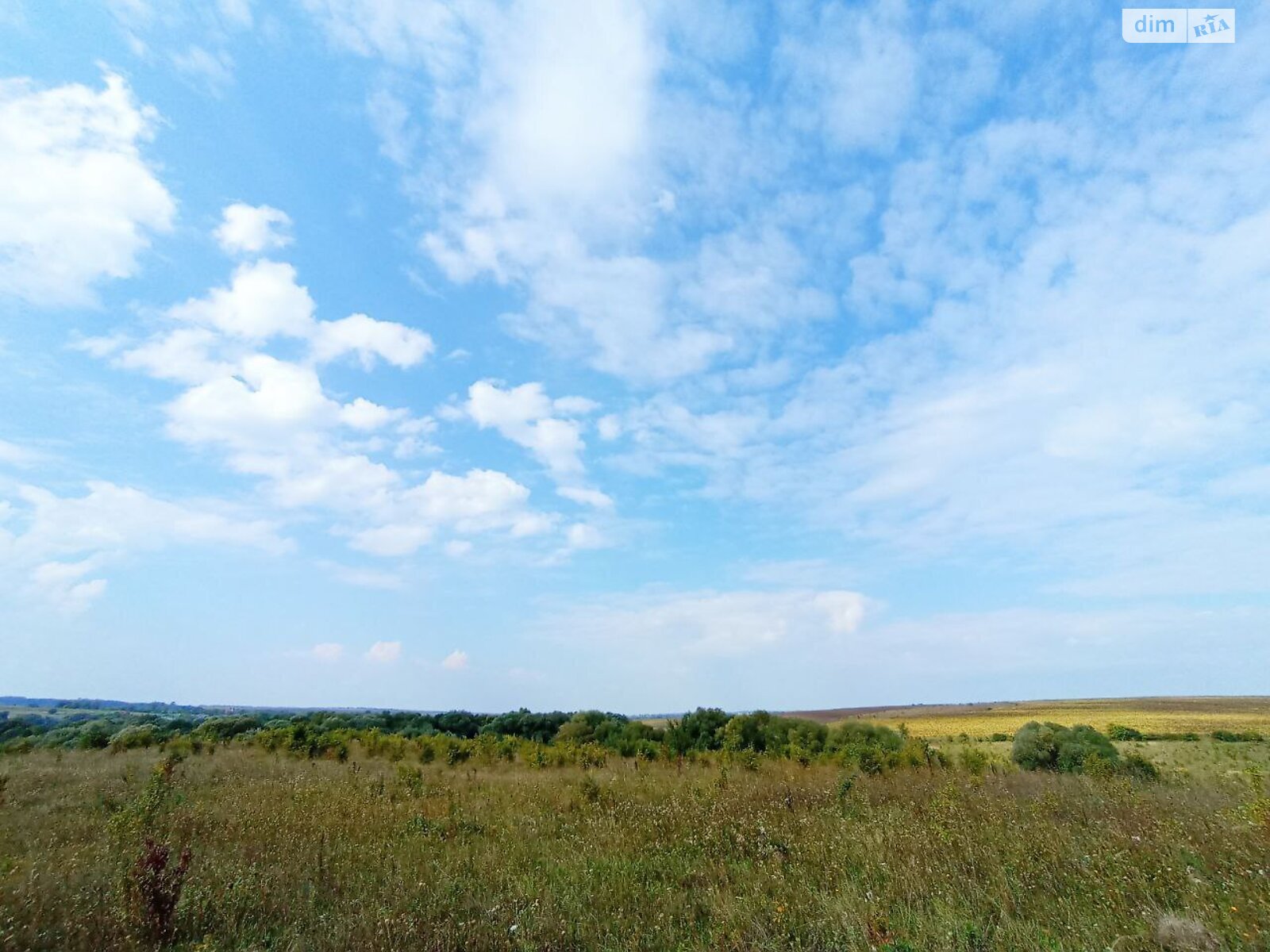 Земля сельскохозяйственного назначения в Хмельницком, район Гречаны дальние, площадь 12 соток фото 1 Земля сельскохозяйственного назначения в Хмельницком, район Гречаны дальние, площадь 12 соток фото 1